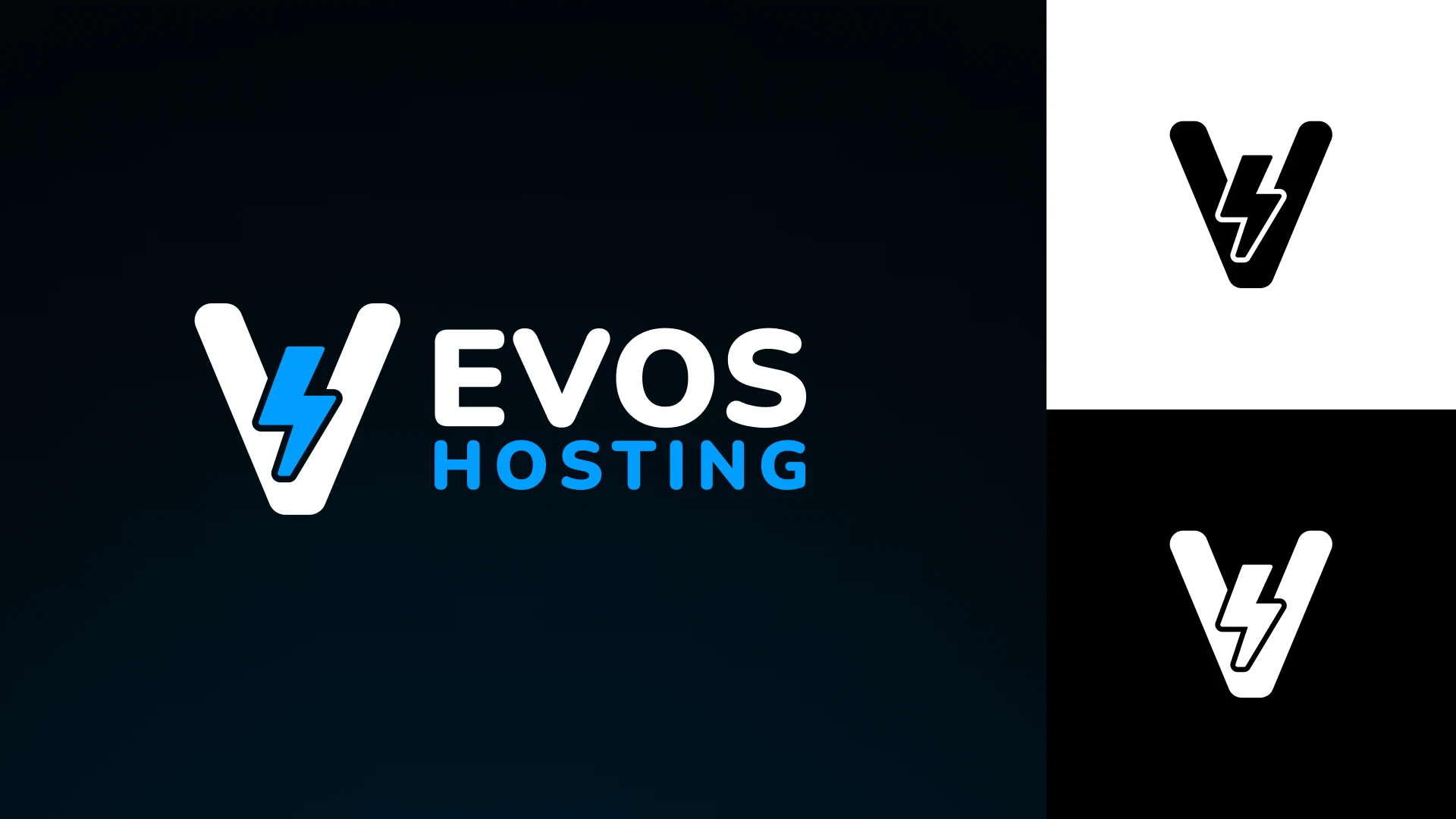 EvosHosting Brand Identity